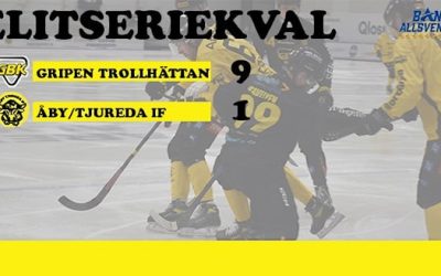 Gripen ett par klasser bättre – DEL 2