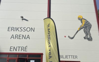 Öppet för allmänhetens åkning på söndag