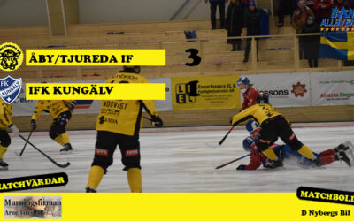 Seger i premiären – DEL 2