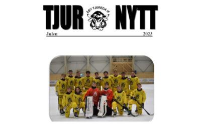 Ny läsning av Tjurnytt