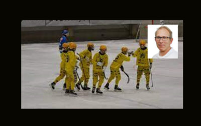 Daturum AB får vara huvudsponsor