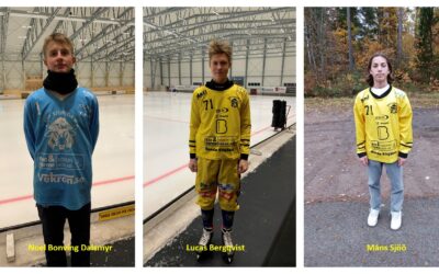 Vi fortsätter att presentera U17 truppen (del 4)
