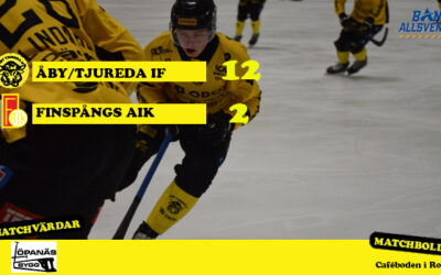 9 olika målskyttar mot Finspång