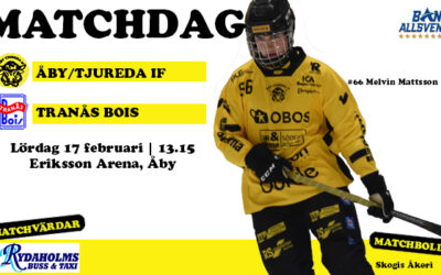 Tranås BoIS gästar i säsongens sista seriematch på hemmaplan