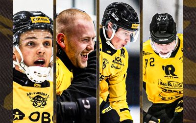 Mycket Åby i Bandypuls Årets lag