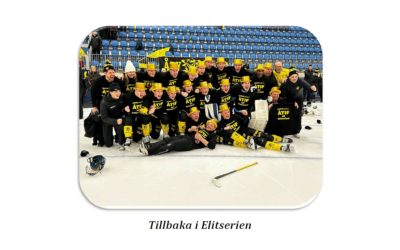 Tjurnytt sommaren 2024