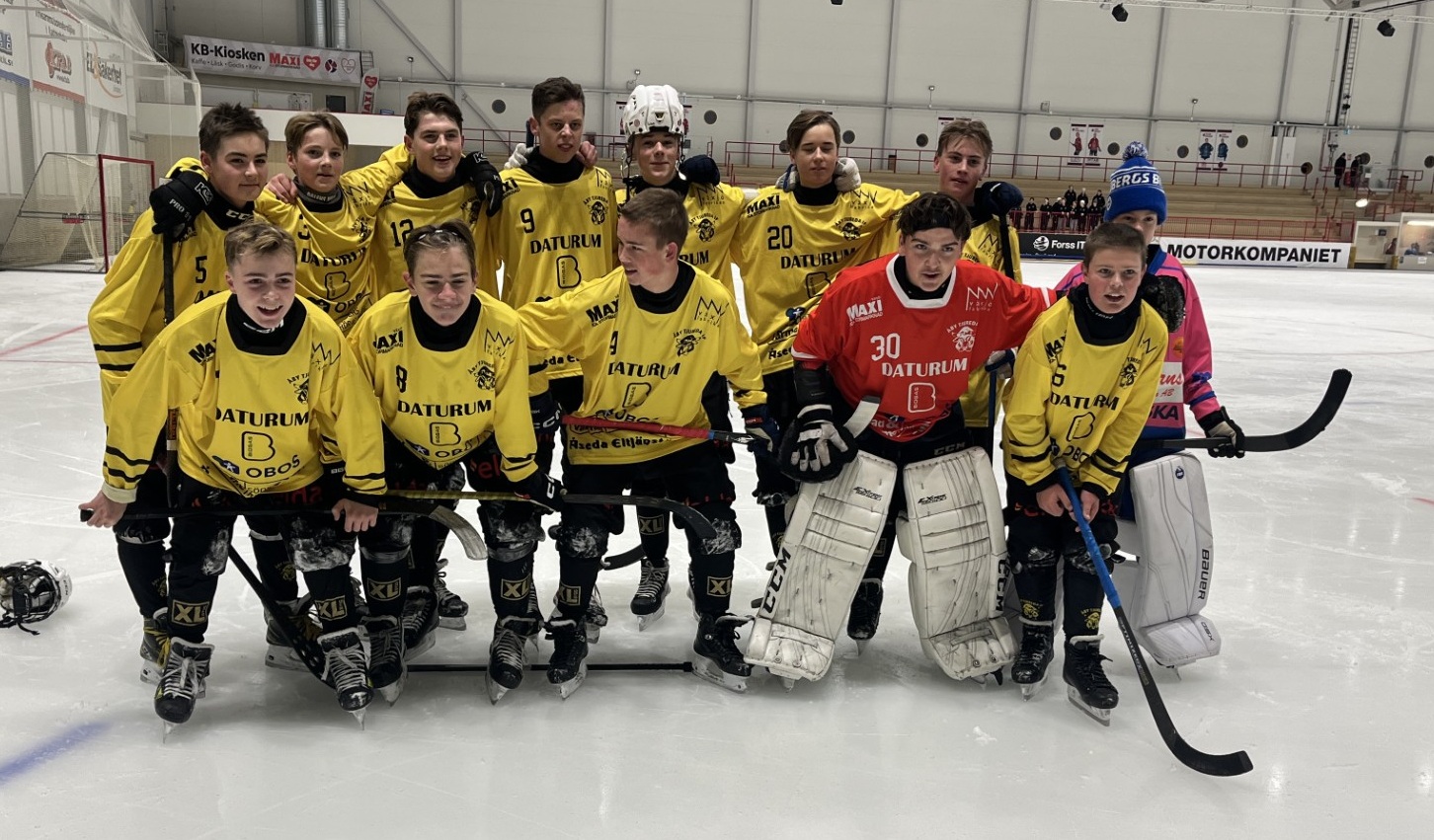 Erfarenheter från Mini World Cup